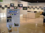 081210-1.jpg